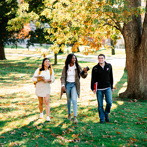 Students walking under a tree on campus